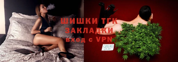 соль ск Алексин