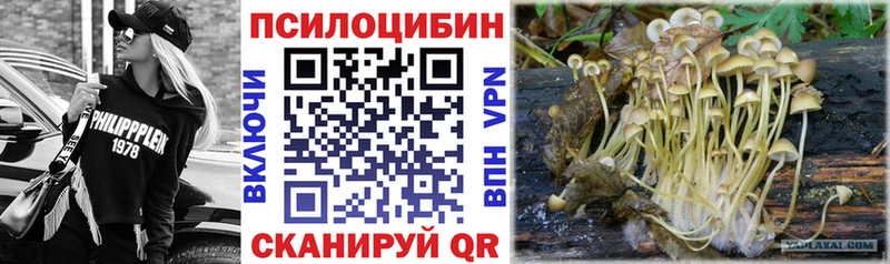 Галлюциногенные грибы GOLDEN TEACHER  Арамиль 